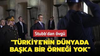 Stubb'dan vg: Trkiye'nin dnyada bir rnei yok