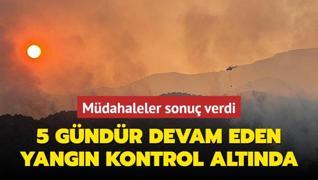 Denizli'de orman yangn kontrol altna alnd