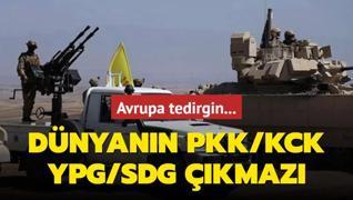 Avrupa tedirgin... Dnyann PKK/KCK-YPG/SDG kmaz