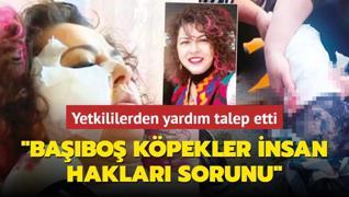 Babo kpekler insan haklar sorunu