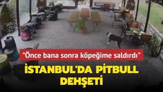 stanbul'da pitbull deheti... nce bana sonra kpeime saldrd