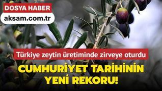 Trkiye zeytin retiminde zirveye oturdu Cumhuriyet tarihinin yeni rekoru!