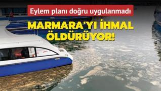 Marmara'y ihmal ldryor! Eylem plan doru uygulanmad