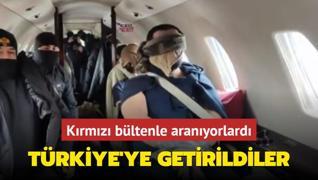 Krmz bltenle aranyorlard... Trkiye'ye getirildiler