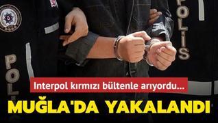 Interpol krmz bltenle aryordu... Mula'da yakaland