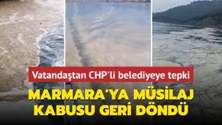 Marmara'ya kabus geri dnd! Vatandatan CHP'li belediyeye tepki: Tesisleri yenileyin