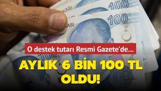 O destek tutar Resmi Gazete'de... Aylk 6 bin 100 TL oldu!