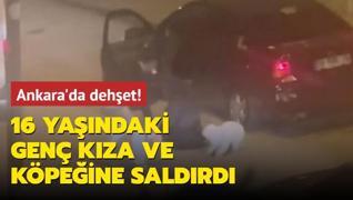 Ankara'da dehet! 16 yandaki gen kza ve kpeine saldrd