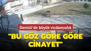 Denizli'de byk vicdanszlk: Bu gz gre gre cinayet