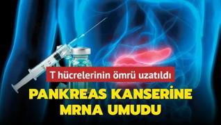 Pankreas kanserine mRNA umudu