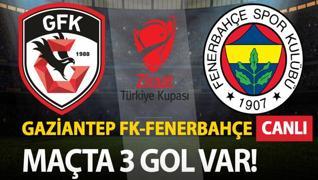 Gaziantep FK-Fenerbahe