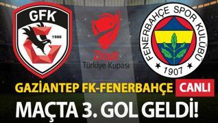 Gaziantep FK-Fenerbahe