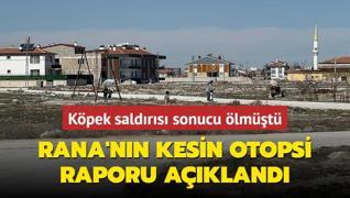 Kpek saldrs sonucu hayatn kaybetmiti! Rana'nn kesin otopsi raporu akland