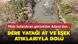 Mide bulandran grntler Adana'dan... Dere yata at ve eek atklaryla dolu