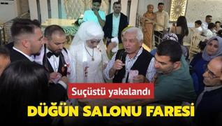 Dn salonu faresi