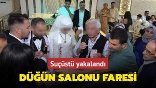 Dn salonu faresi