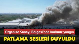 Organize Sanayi Blgesi'nde korkun yangn! Patlama sesleri duyuldu