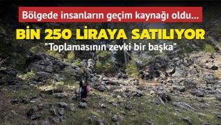 Blgede insanlarn geim kayna oldu... Bin 250 liraya satlyor: Toplamasnn zevki bir baka