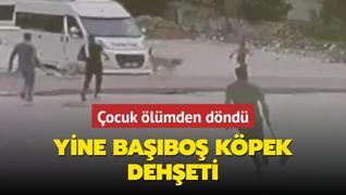 Yine babo kpek deheti... ocuk lmden dnd