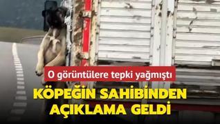 O grntlere tepki yamt: Kpein sahibinden aklama geldi