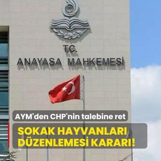 Sokak hayvanlar dzenlemesi karar! AYM'den CHP'nin talebine ret