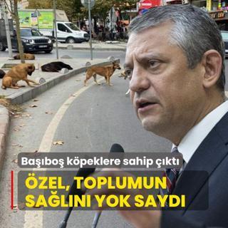 Babo kpek sorunu... zgr zel toplumun saln yok sayd