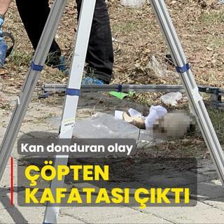 Kan donduran grnt! p konteynerinde kafatas bulundu