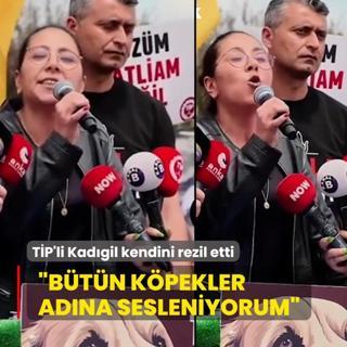 TP'li Sera Kadgil: Btn kpekler adna sesleniyorum