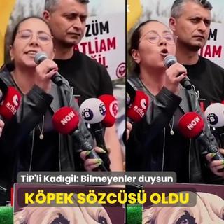 TP'li Sera Kadgil: Btn kpekler adna sesleniyorum