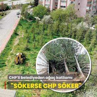CHP'li belediyeden aa katliam