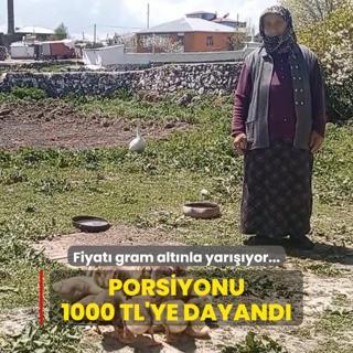 Fiyat gram altnla yaryor... Porsiyonu 1000 TL'ye dayand