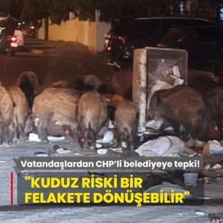 Vatandalardan CHP'li belediyeye tepki: Kuduz riski bir felakete dnebilir