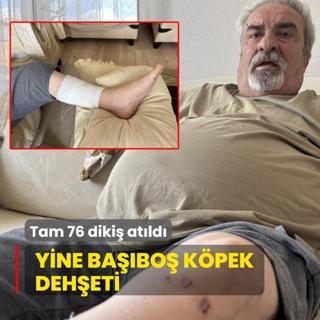 Yine babo kpek deheti: Tam 76 diki atld
