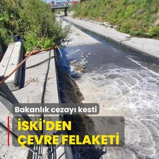 SK'den evre felaketi! Bakanlk cezay kesti