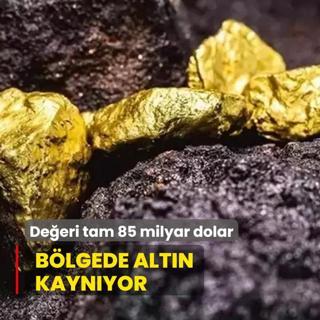 Blgede altn kaynyor! Deeri tam 85 milyar dolar