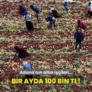 Adana'nn altn iileri: Bir ayda 100 bin TL!
