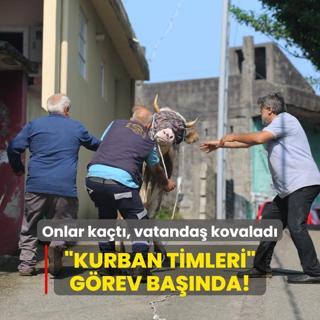 Onlar kat, vatanda kovalad: Kurban timleri grev banda!