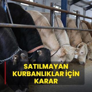 Satlmayan kurbanlklar iin karar! Bayram sonras destek bakanlktan