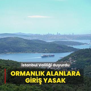 stanbul Valilii duyurdu: Ormana giriler yasakland