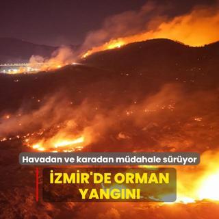 zmir'de orman yangn: Havadan ve karadan mdahale sryor
