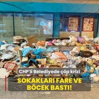 Sokaklar fare ve bcek bast