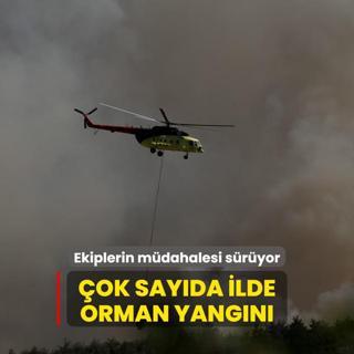 ok sayda ilde orman yangn! Ekiplerin mdahalesi sryor