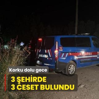Korku dolu gece! 3 ehirde 3 ceset bulundu