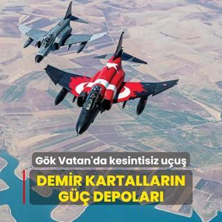 Demir kartallarn g depolar