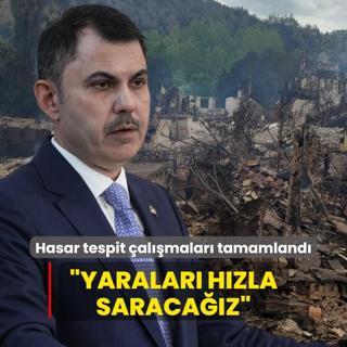 Bilecik'te orman yangn... Bakan Kurum: Yaralar hzla saracaz
