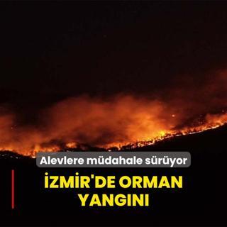 zmir'de orman yangn... Alevlere mdahale sryor