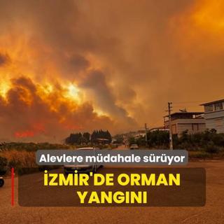 zmir'de orman yangn... Alevlere mdahale sryor
