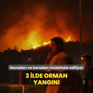 3 lde orman yangn... Ekipler havadan ve karadan mdahale ediyor