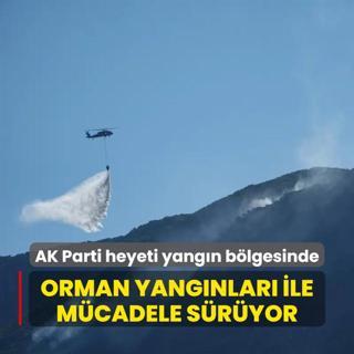 Birok noktada orman yangnlar devam ediyor: Havadan ve karadan mdahale