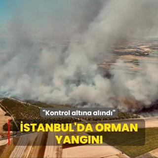 stanbul'da orman yangn... Kontrol altna alnd